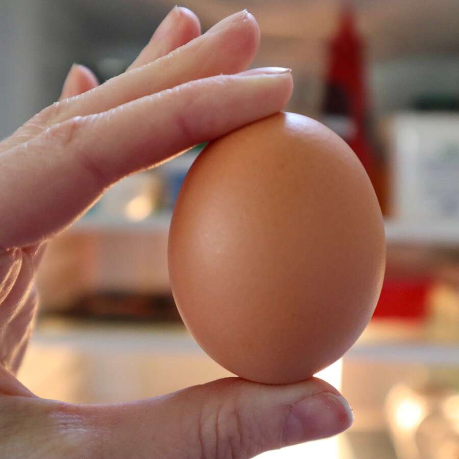 Le uova si conservano in frigorifero