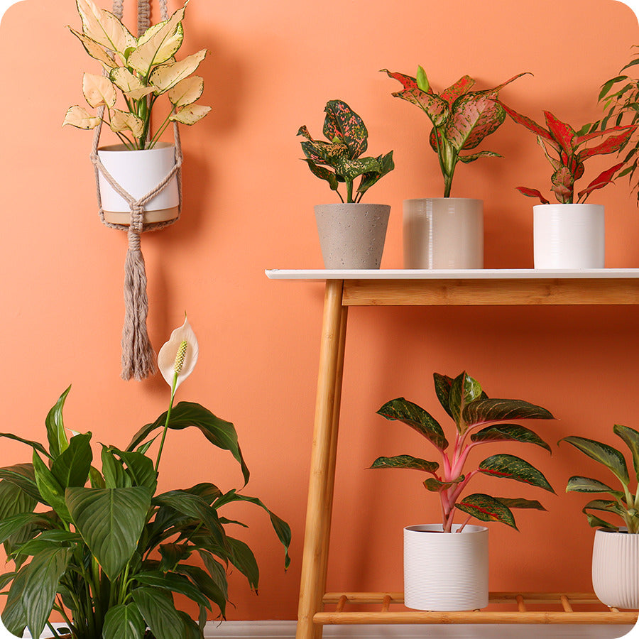 Décoration d’intérieur : tendances couleurs pour l'été 2022