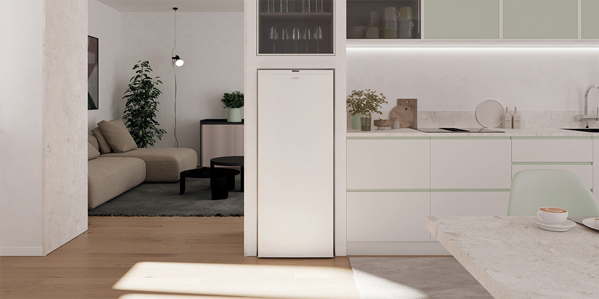 Congélateur Armoire 500