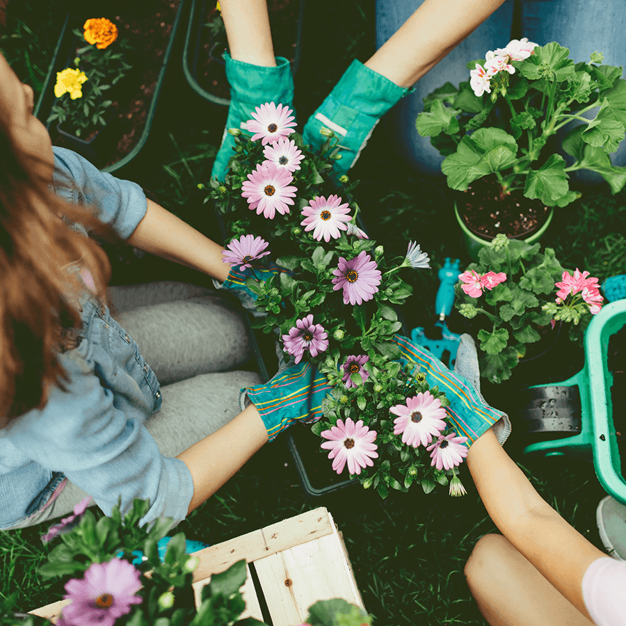 Fleurs de printemps : que planter en mars, conseils et astuces