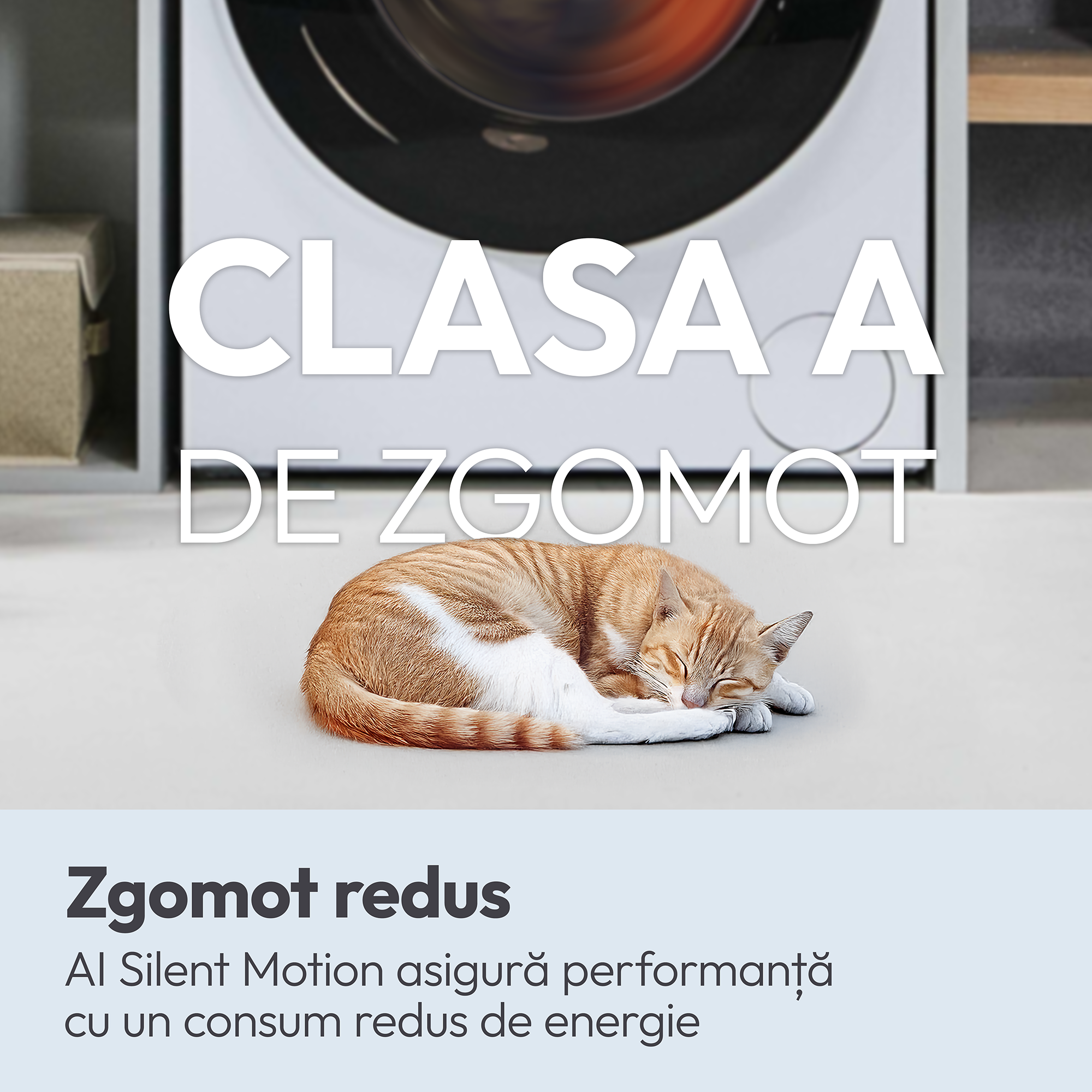 BS 49SB8-S 31020251 7