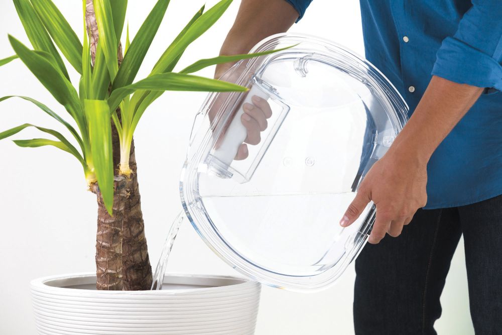 CSOEC10TE-80 31102491 3