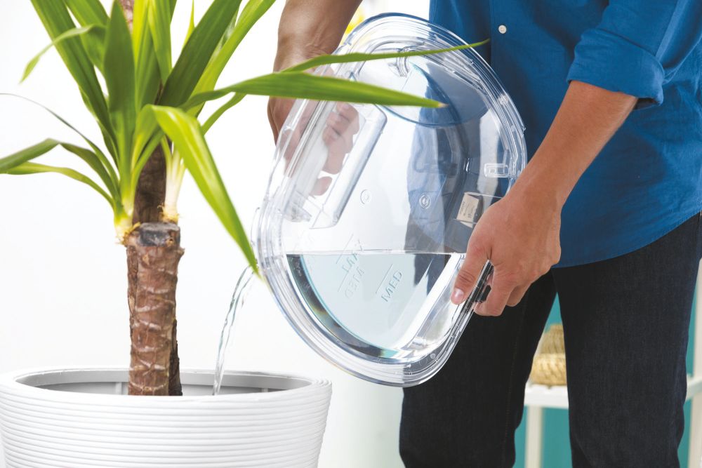 BCTDH7A1TCEB-80 31900537 2