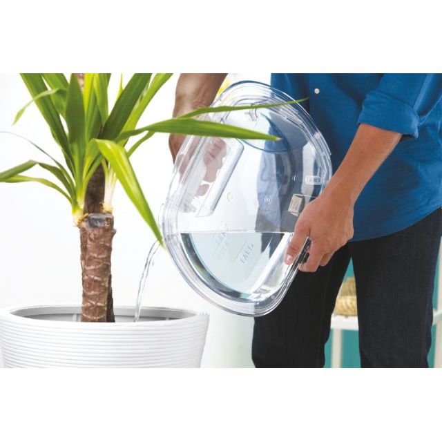 BCTDH7A1TCEB-80 31900537 2