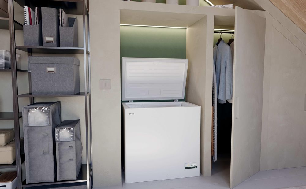 CHAE 2002C 37001736 2