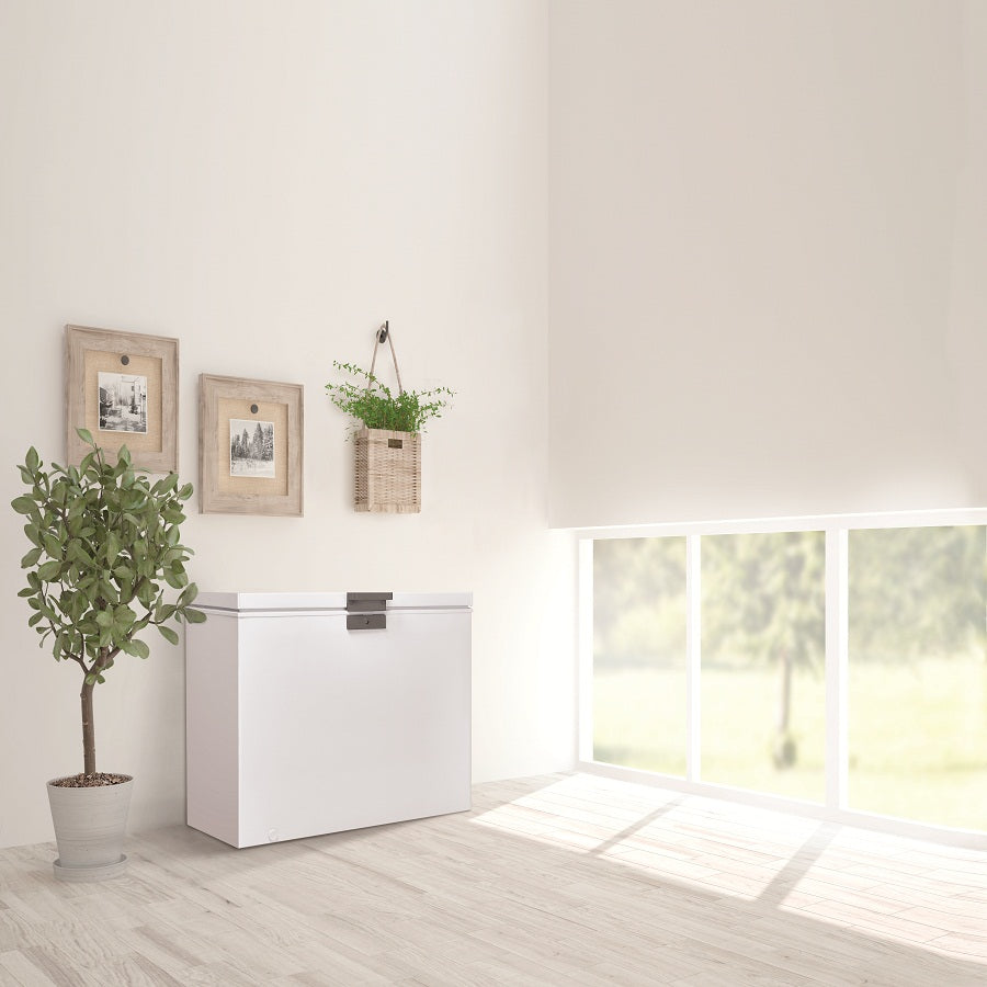 Quale freezer scegliere? Ecco come trovare quello giusto per te