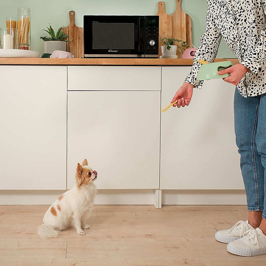 3 ricette buonissime per i tuoi amici animali